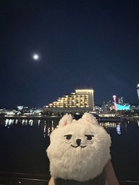 鹿比