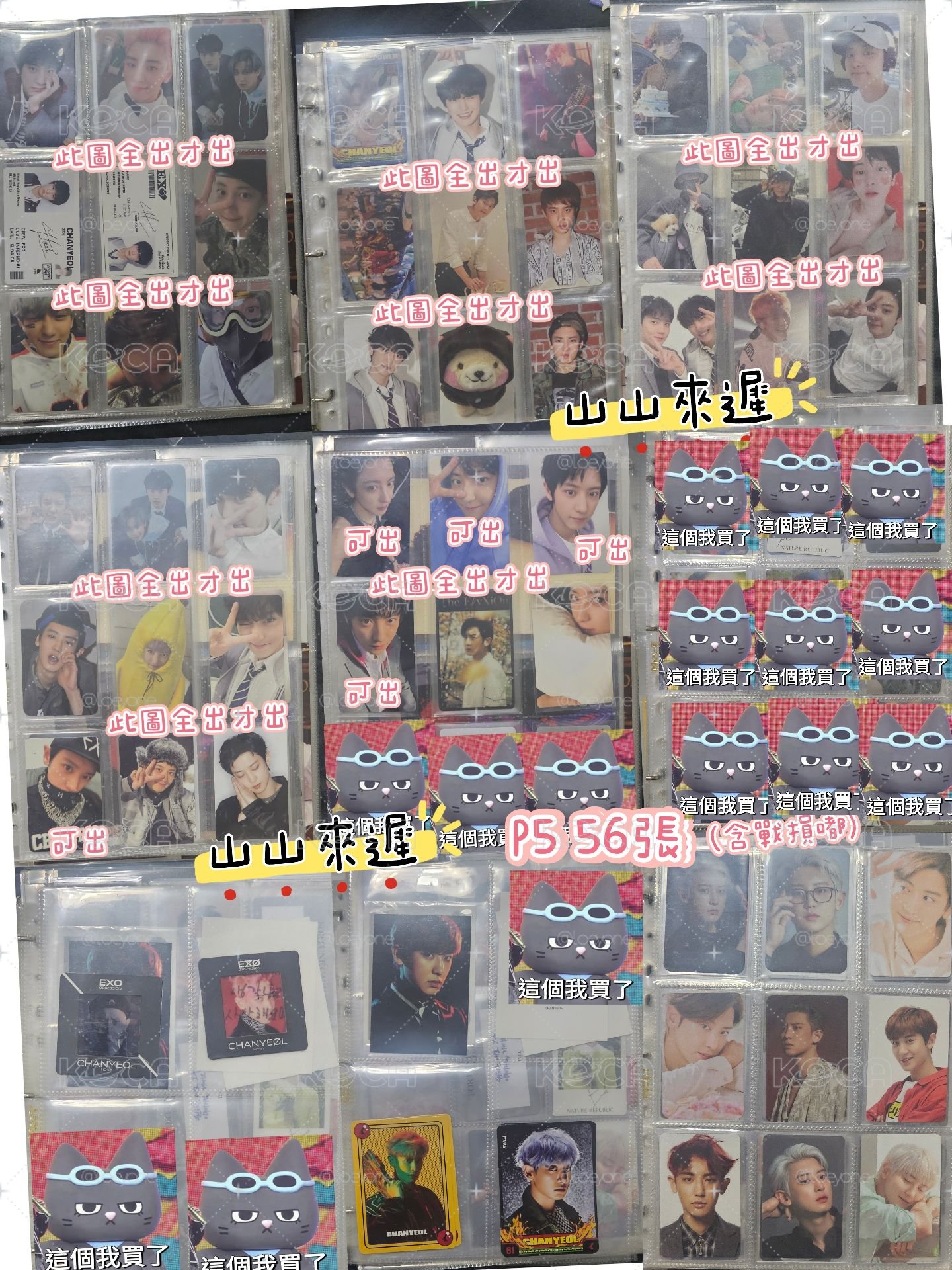 💖 燦烈 2012~2026 377張 超考古巨大盤 ✨️