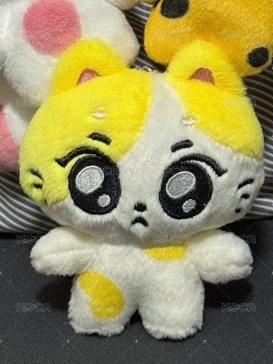 jungwon