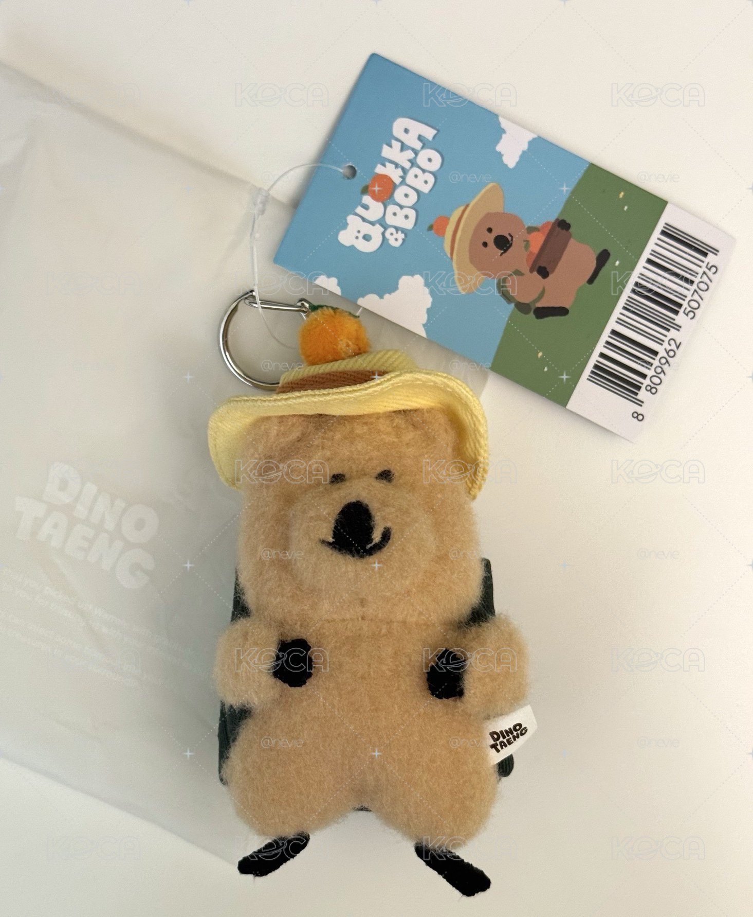 Dinotaeng 濟州島橘子Quokka 僅拆檢