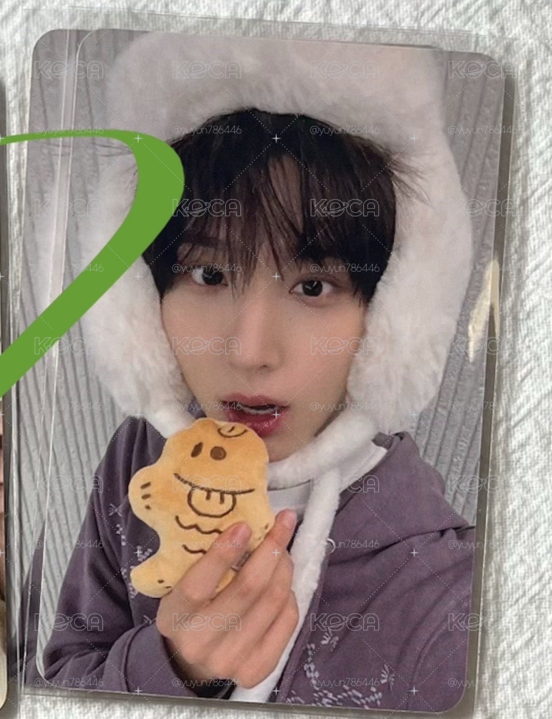 主汪 鯛魚燒（不單出）