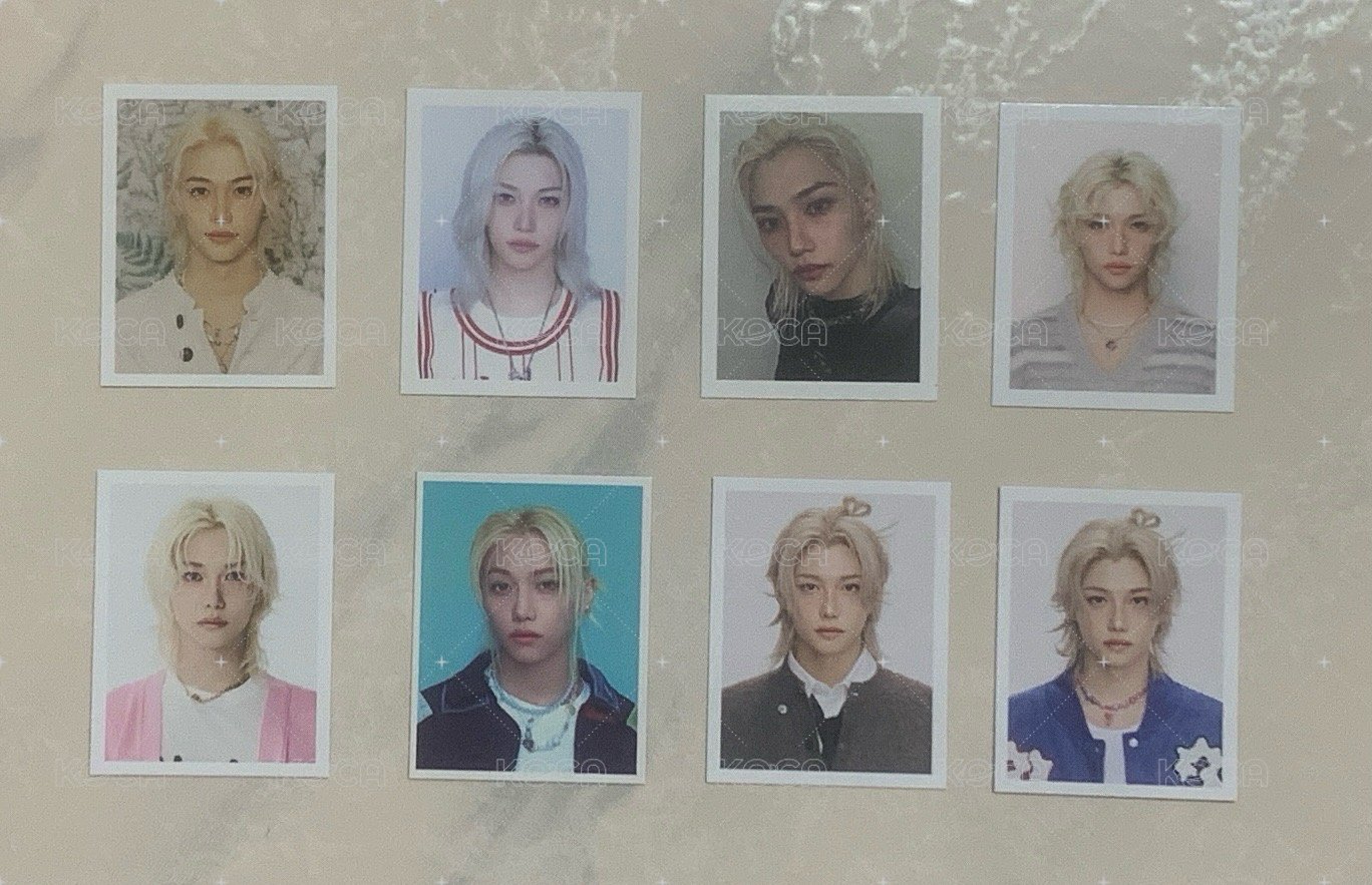菲