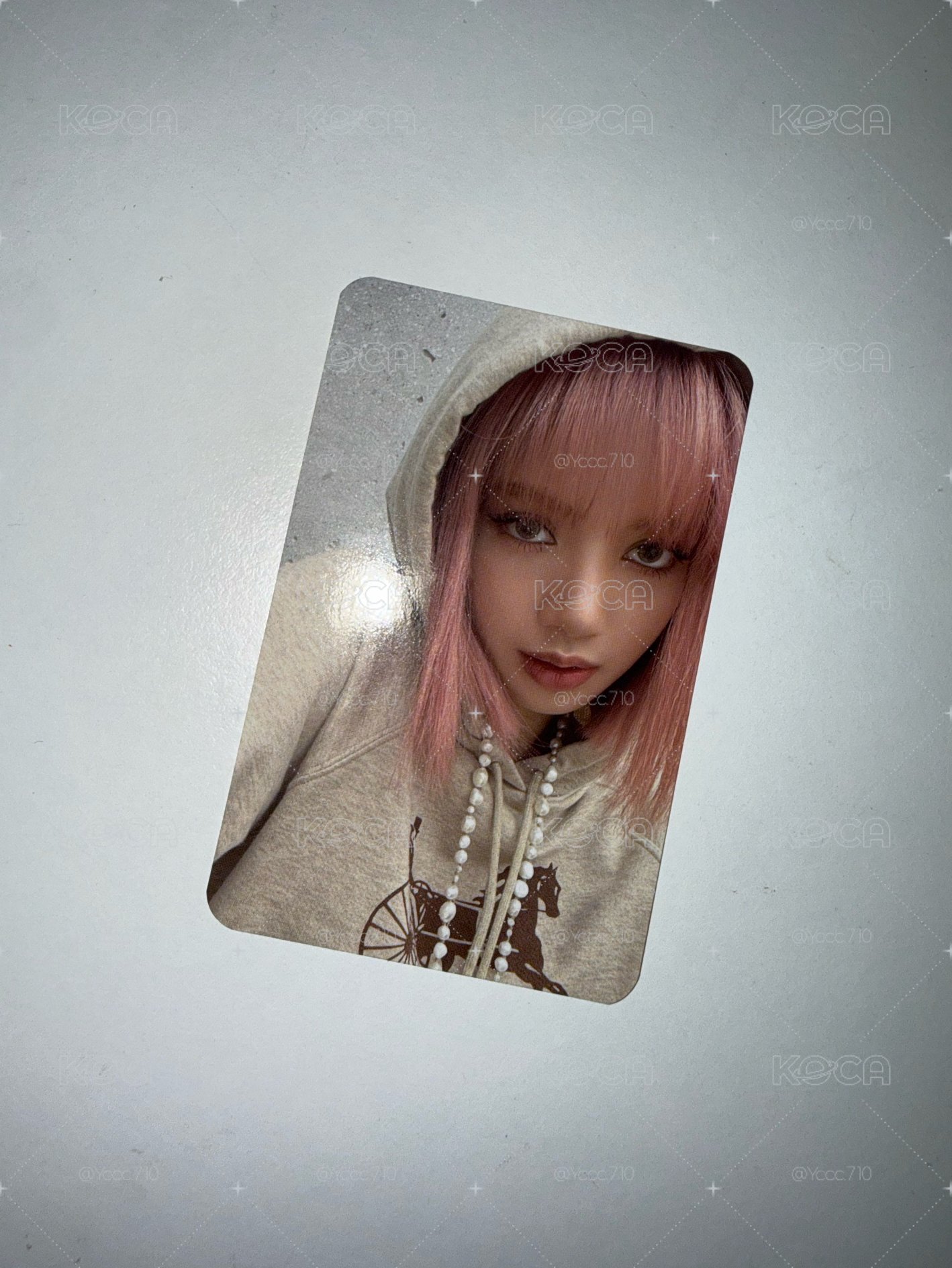 Lisa 會員禮