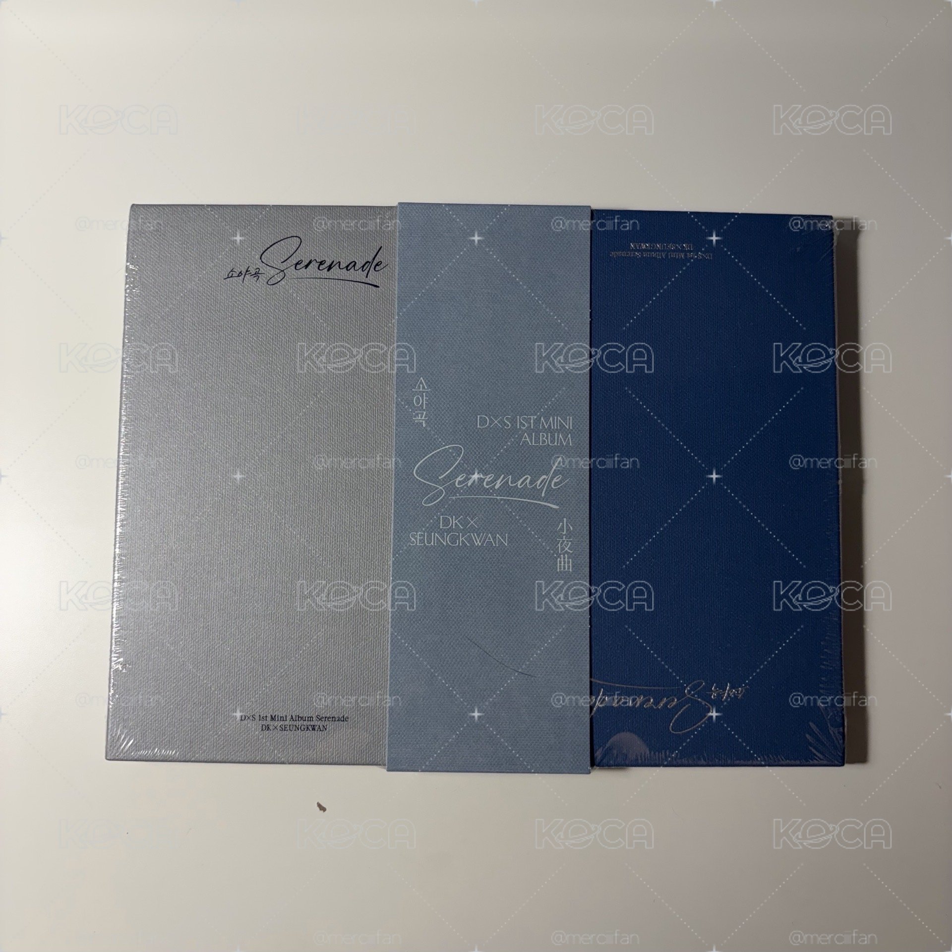 SVT DXS 小夜曲echo.ver