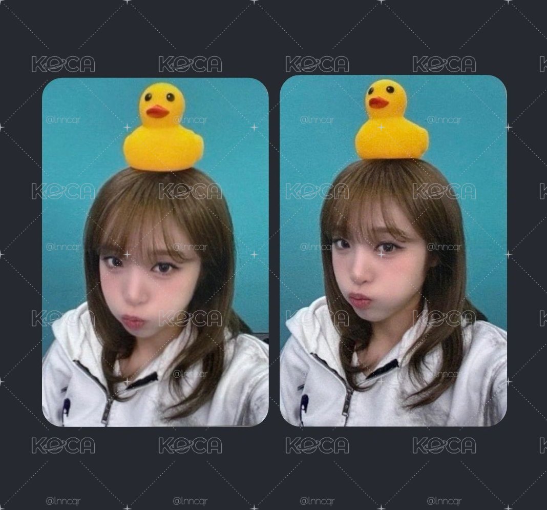 YENA 楠藝 2.0 簽售卡 鴨子一套