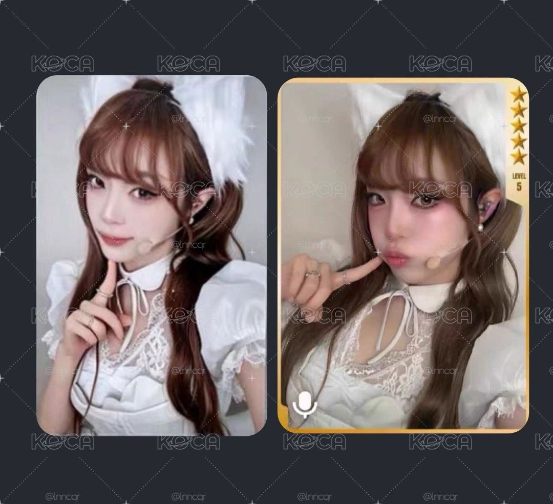 YENA 星光卡 五星 白狐