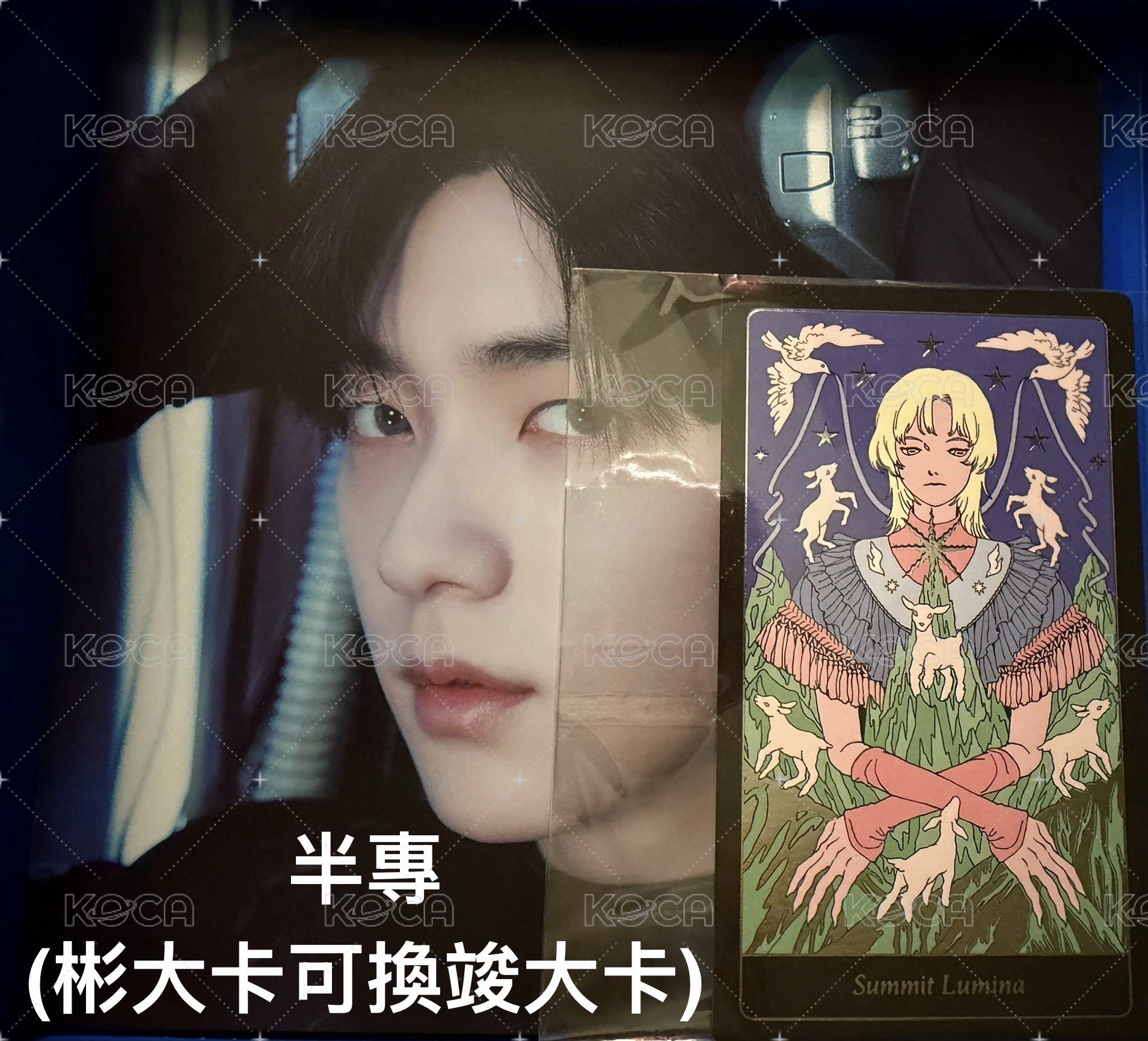 半專(彬+塔羅)