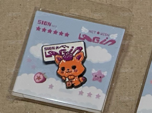 SION PIN