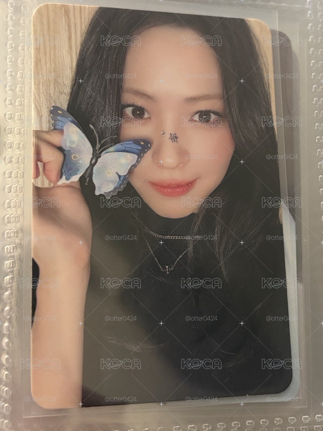 蝴蝶留