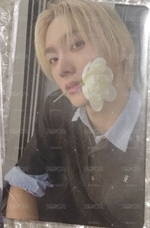 Sungho 咬花