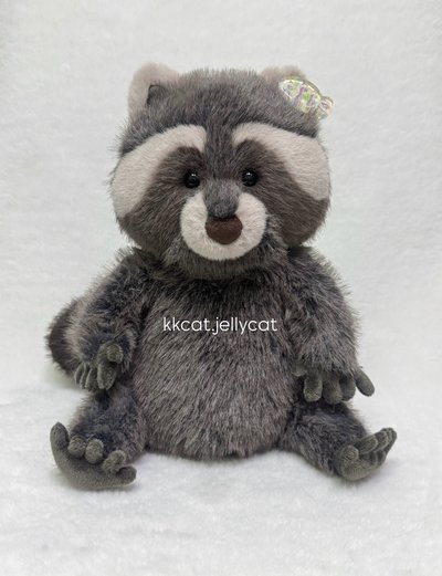 現貨.浣熊🦝娃娃