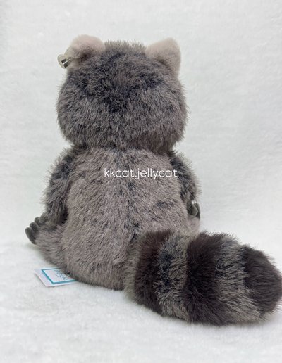 現貨.浣熊🦝娃娃