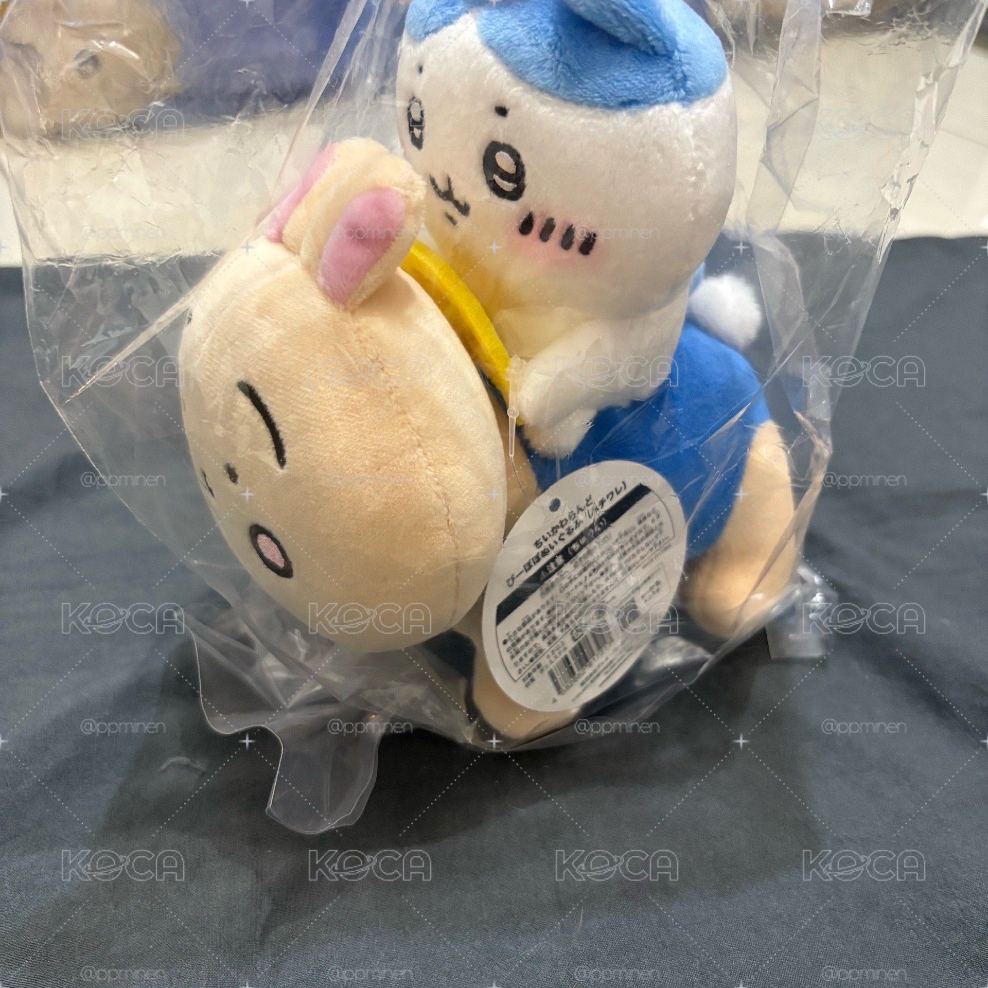 騎行小八