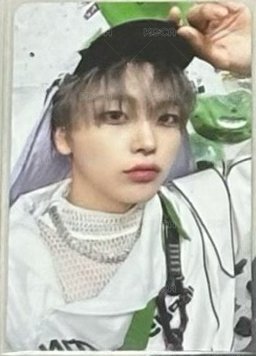 SUN SEEKER CATCHER 宋