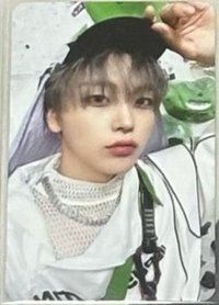 SUN SEEKER CATCHER 宋