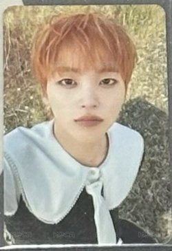 FTO WE 宋