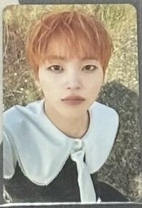 FTO WE 宋