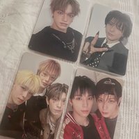 🐧🐿️🦦專卡（左下