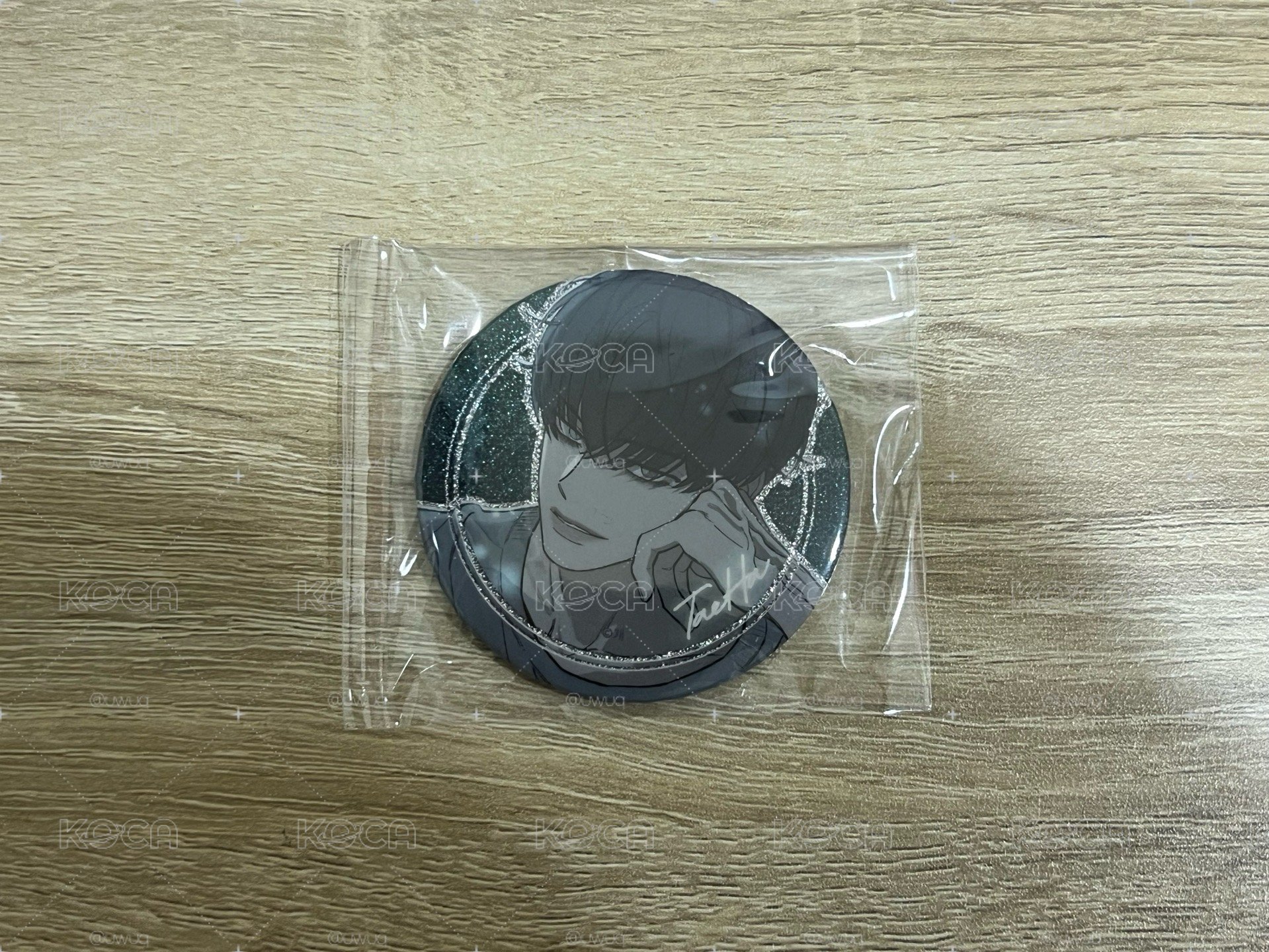 枯萎的花淚 台北快閃 徽章 范泰夏