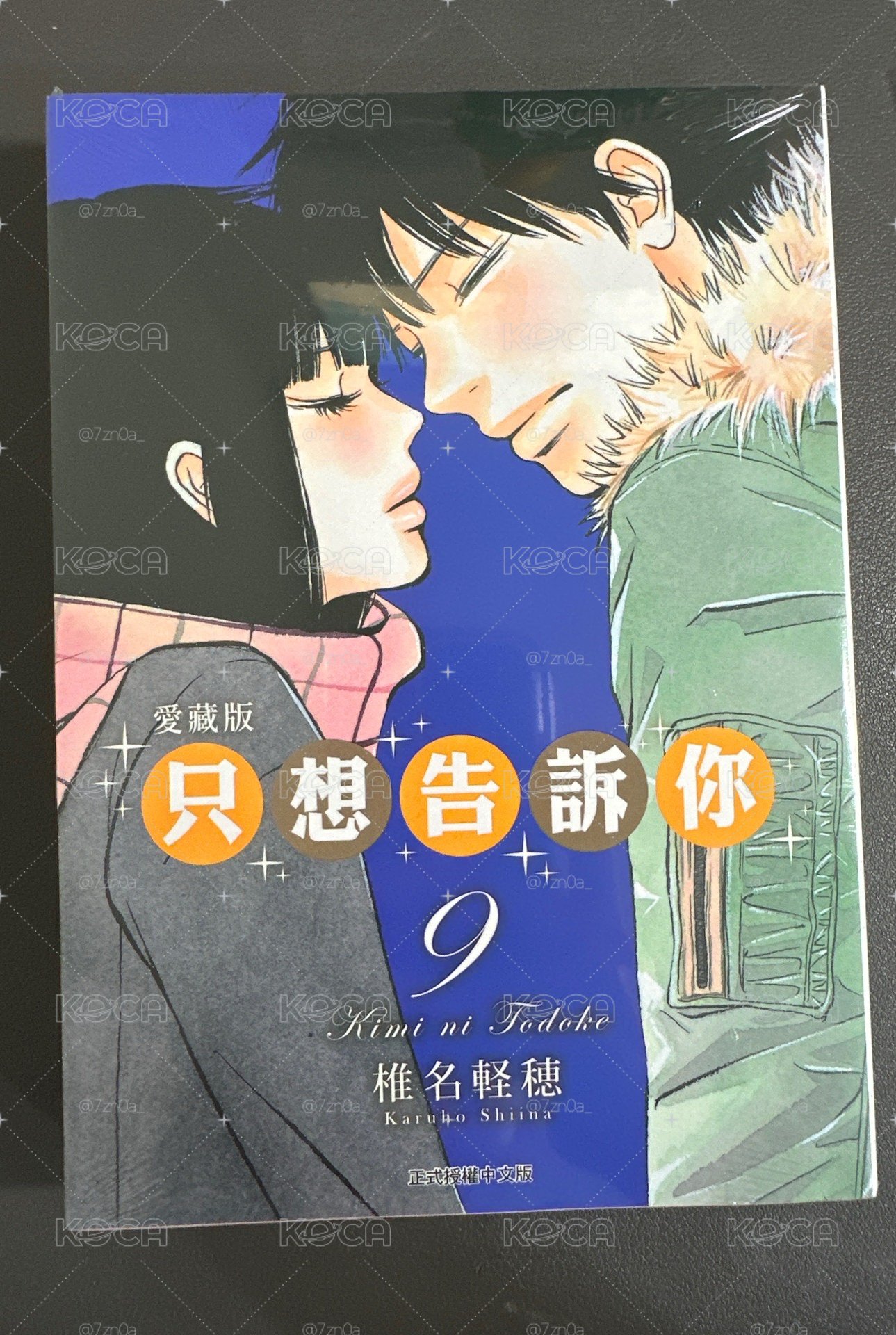 只想告訴你愛藏版9