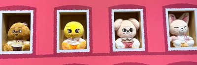 stray kids skzoo zootopia聯名 全新現貨