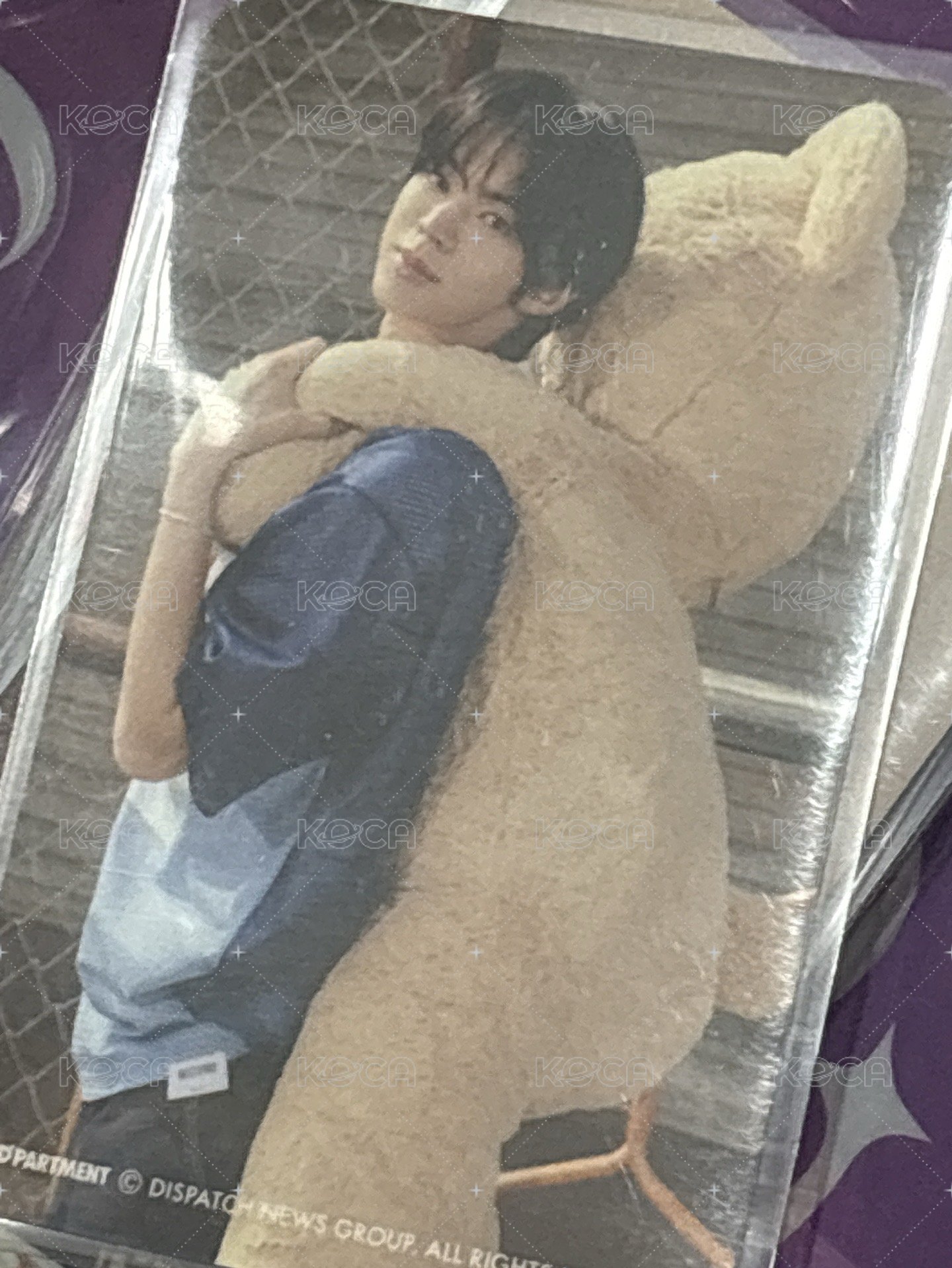 2揹熊