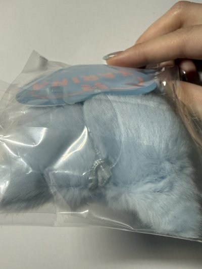 四周年 中娃 四週年10cm娃 柚娃