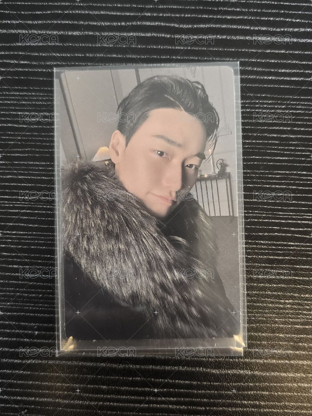 💛北方大公