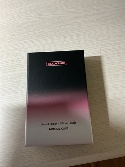 moleskine 聯名筆記本