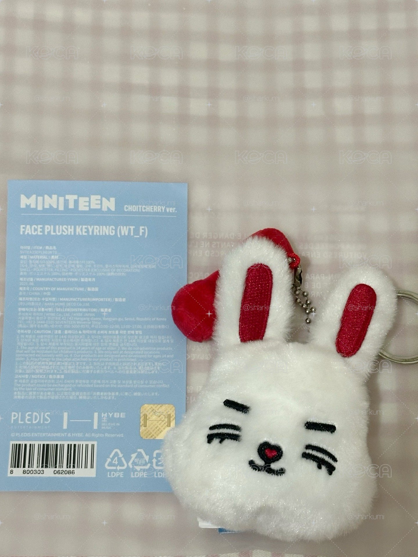 Miniteen 喆大頭