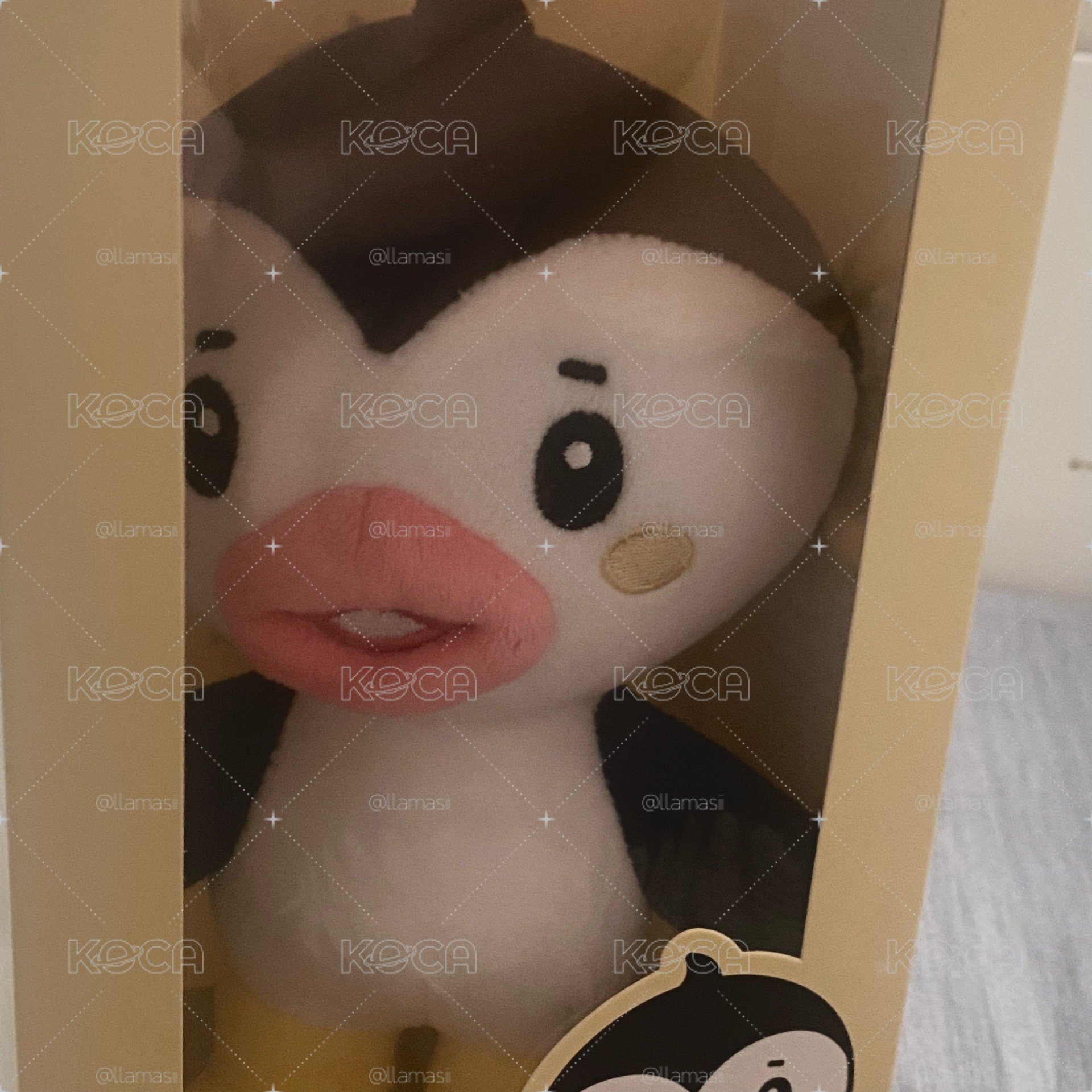 🐧大娃需多帶賣場內小卡達500