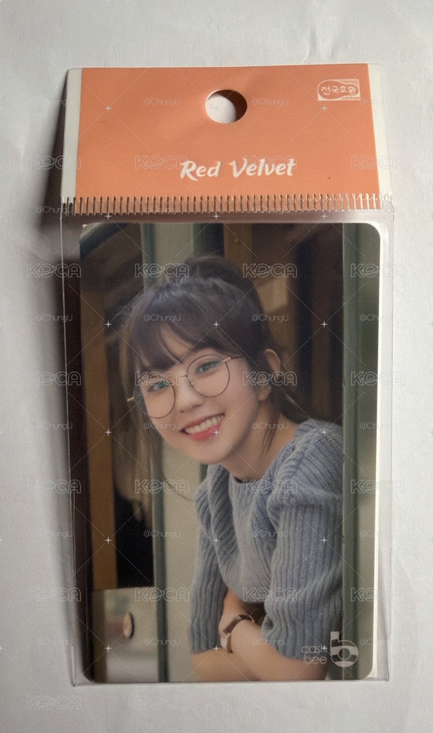 IRENE 瑞士交通卡 cash bee