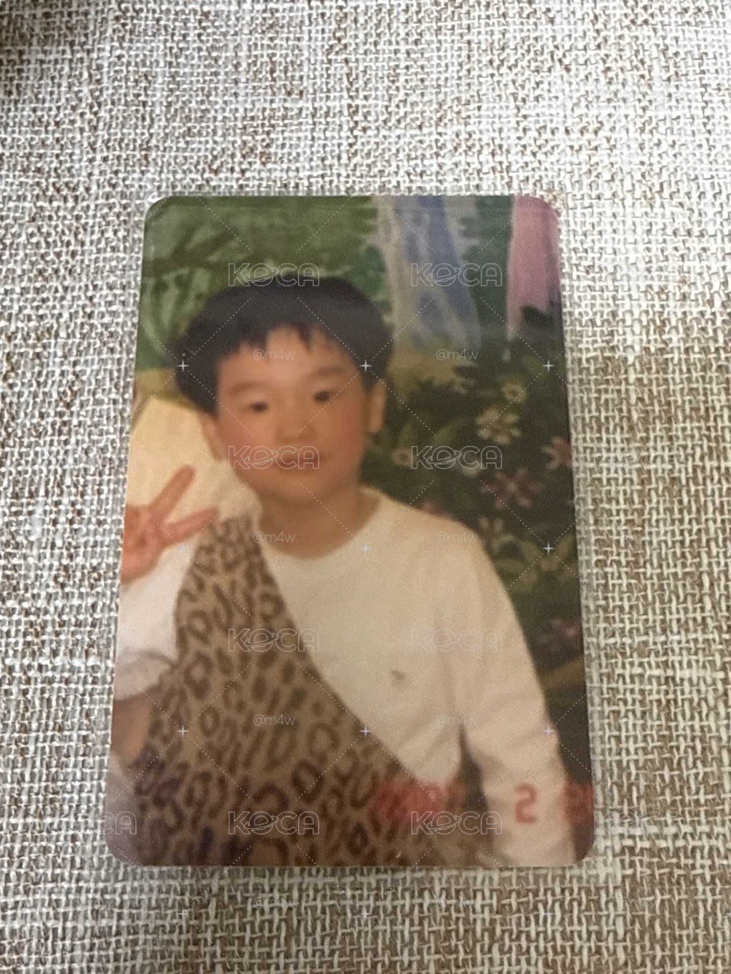 金正洙2nd世巡 jyp 幸運卡 