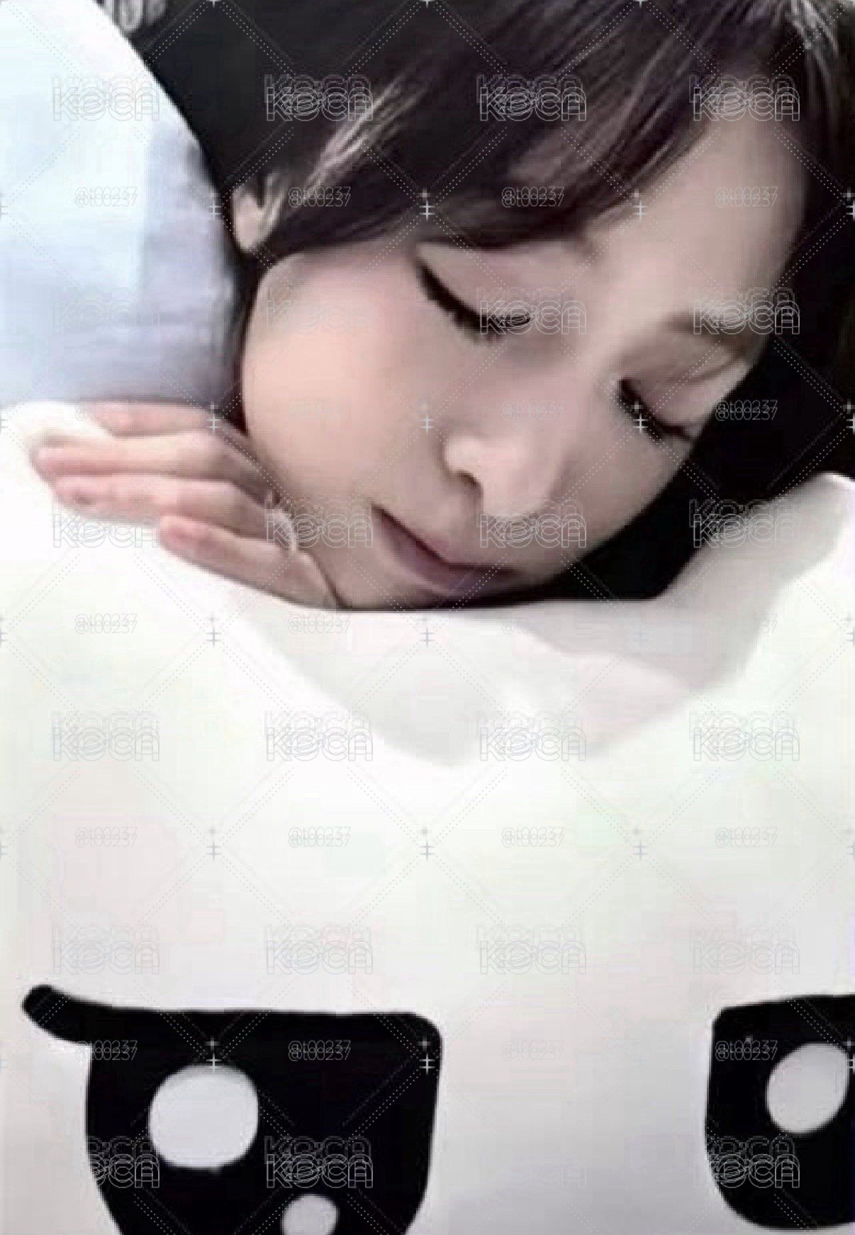 抱枕賢