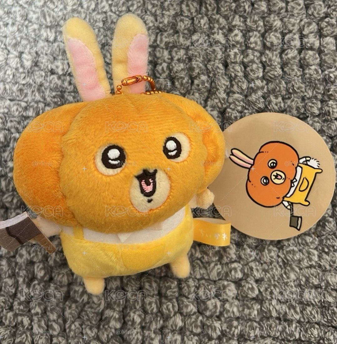 南瓜兔兔