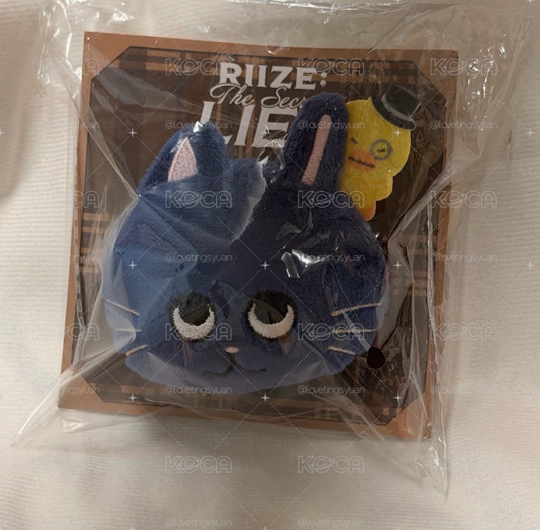 Riize Wonbin 日本FM 兔貓鴨大頭徽章
