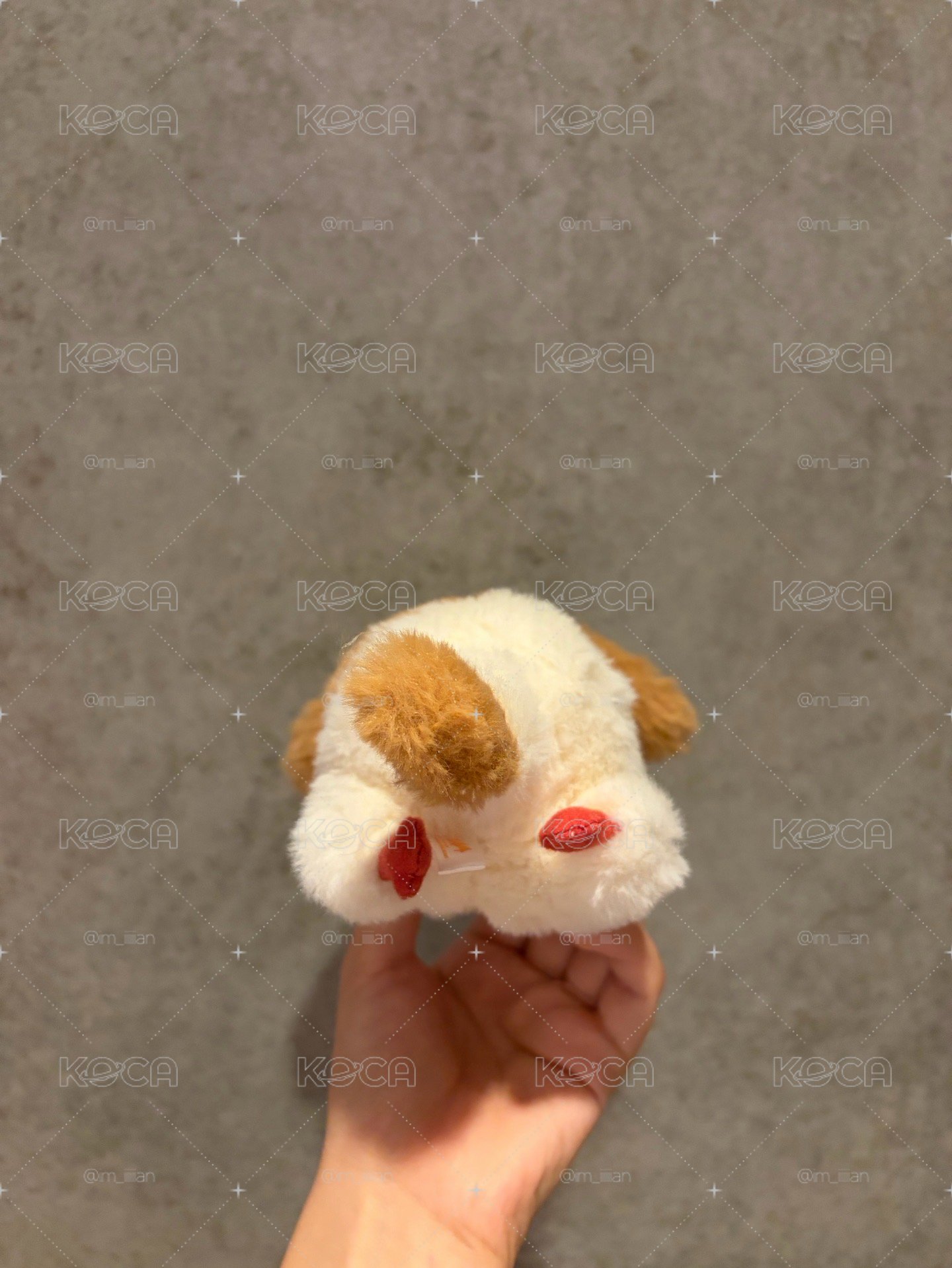 因因沙包娃
