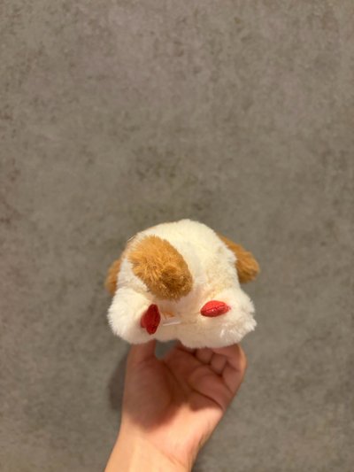 因因沙包娃