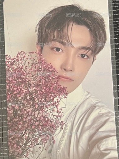 💛我要送你花花