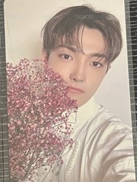 💛我要送你花花