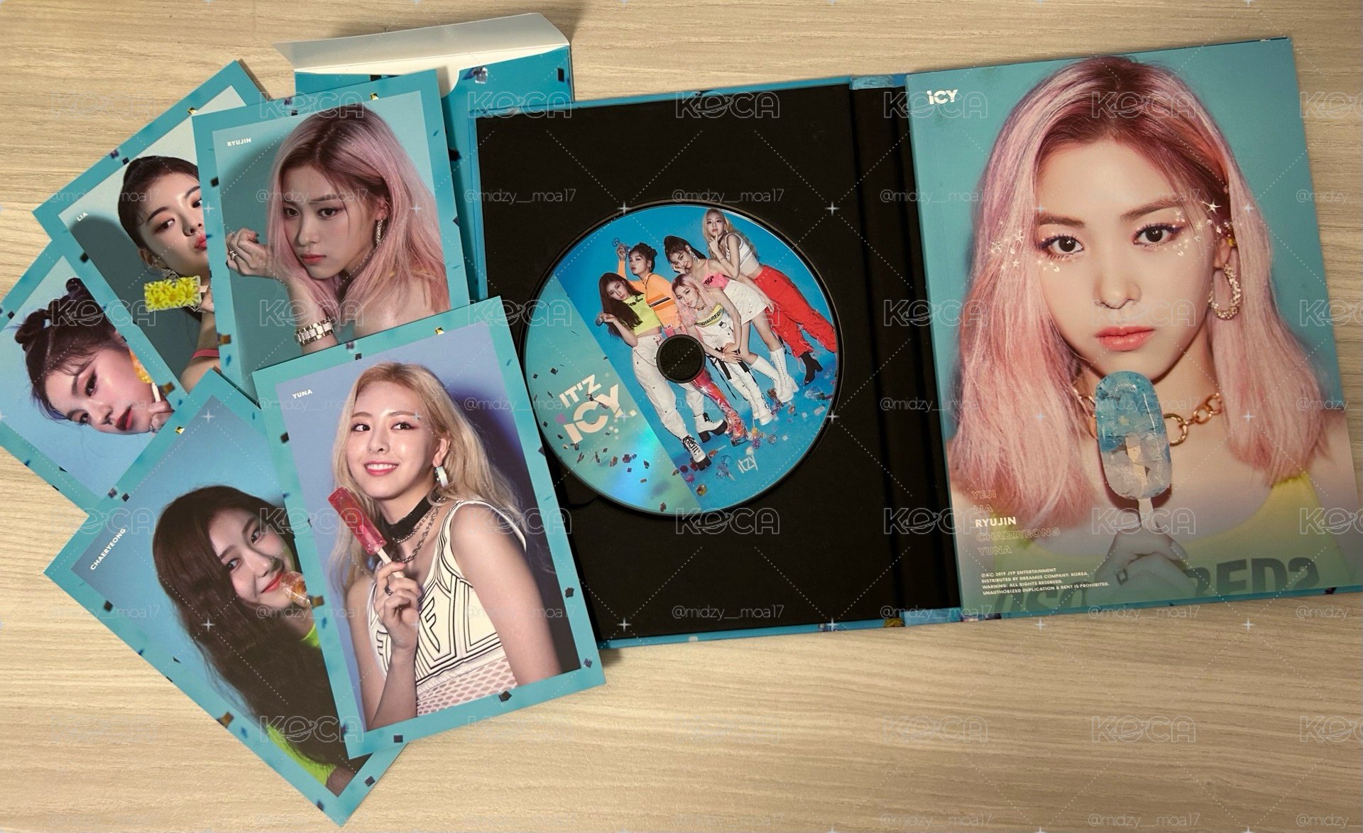 TWINZY 毛絨手燈套 RyeoWoo
