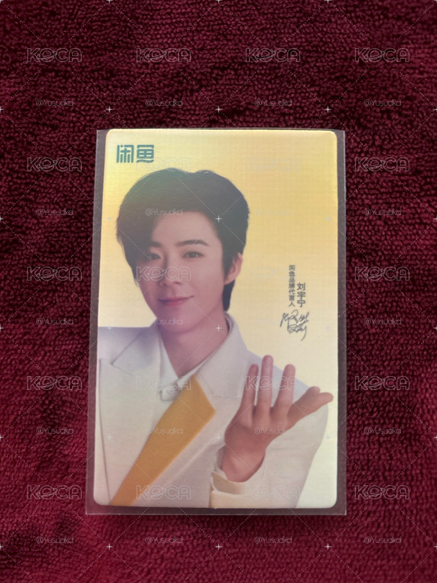 鹹魚劉宇寧