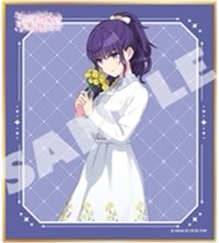 色紙 vol.61 C 簽繪板/色紙 裝飾二星