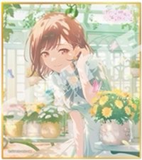 色紙 vol.61 C 簽繪板/色紙 裝飾花後