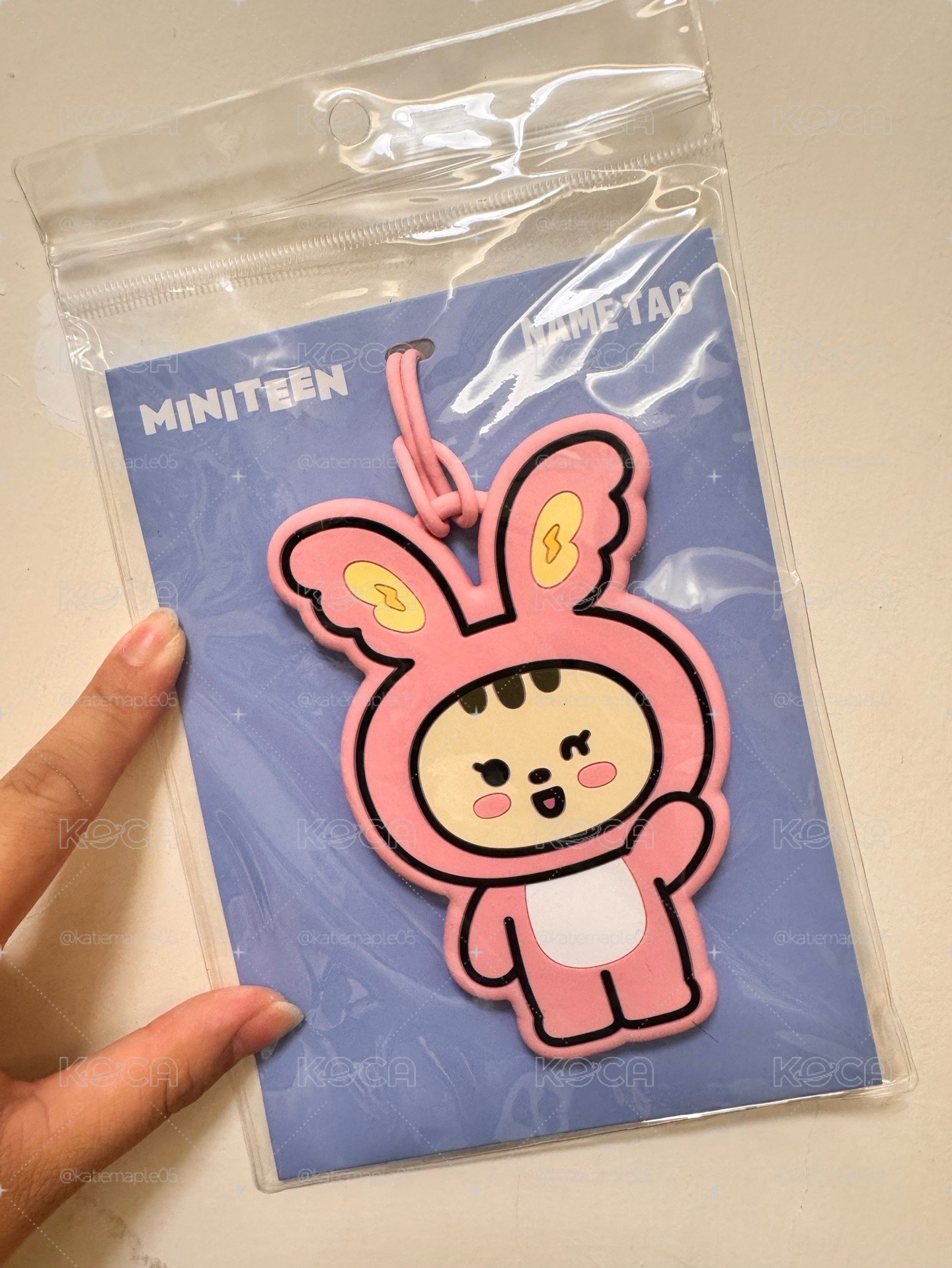 漢 MINITEEN 行李吊牌 