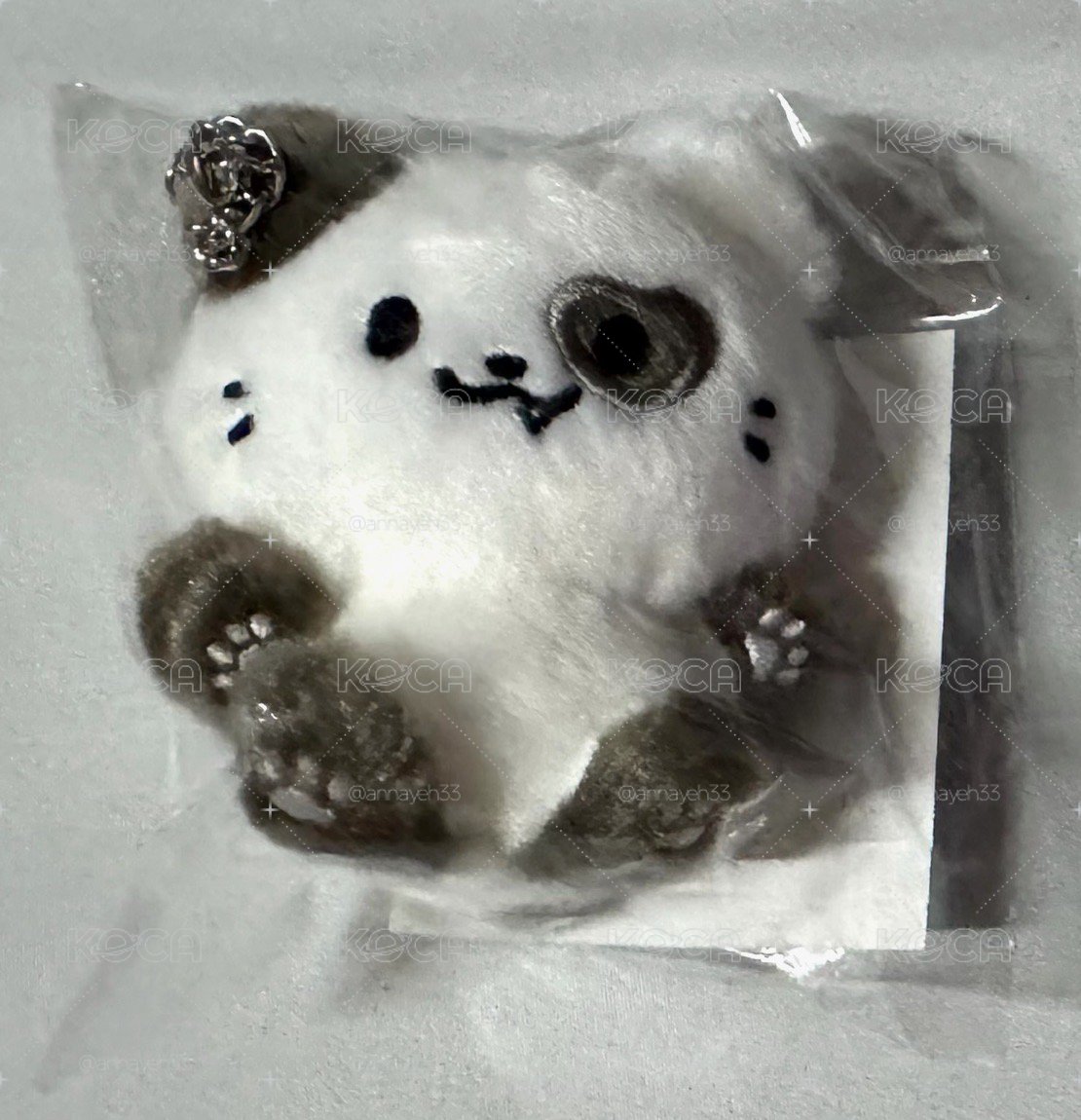 禮志 坐娃