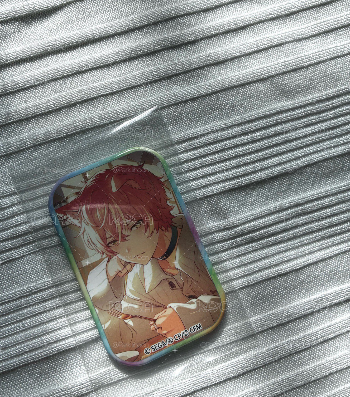 東雲彰人 方徽 狗狗花後