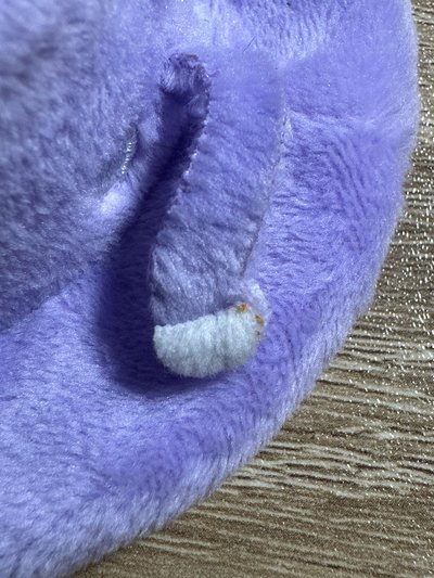 傘德帽帽🐱