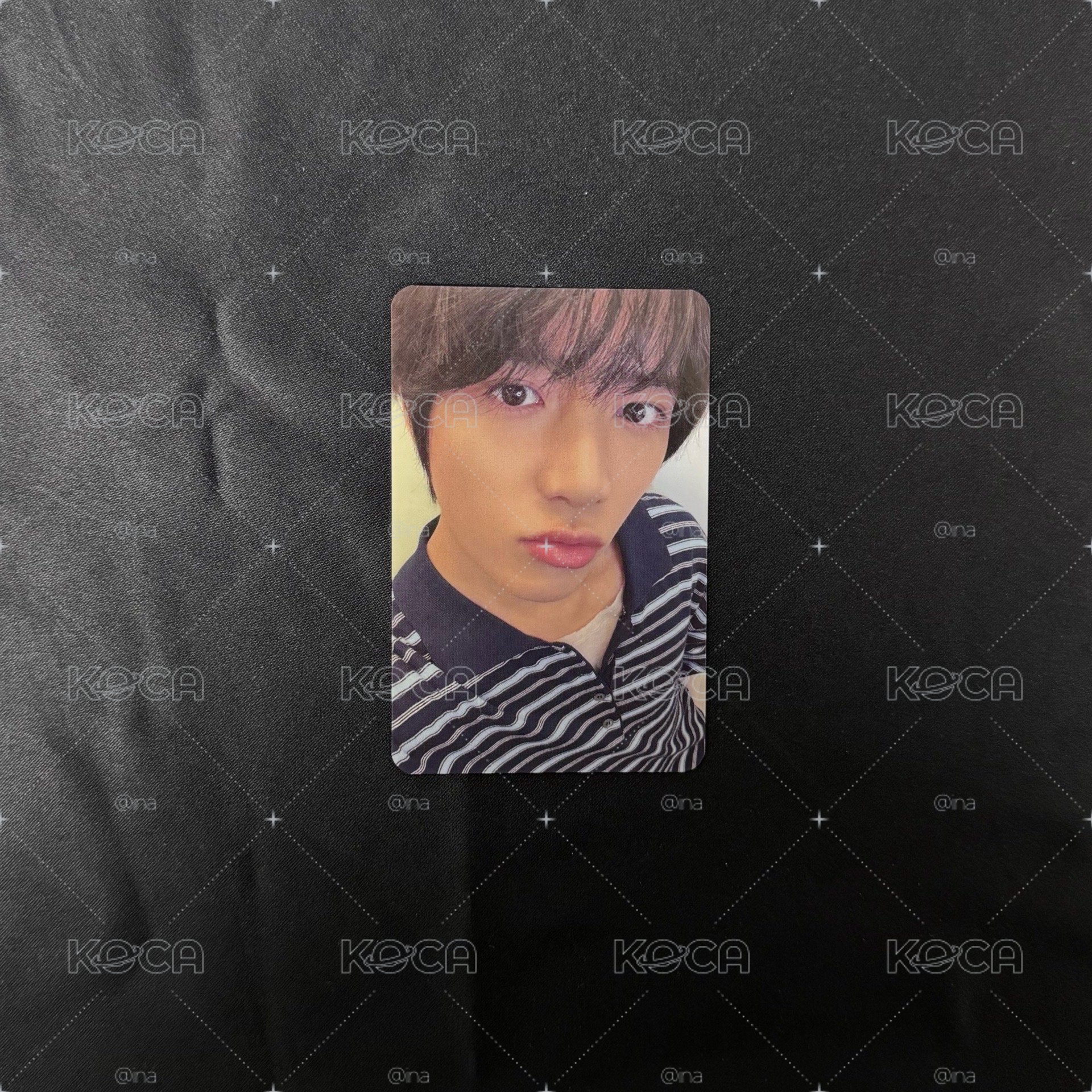 MSLD part.2 圭（含專）