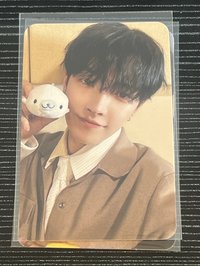 小海豹
